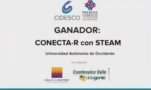 Premio CIDESCO CONECTAR